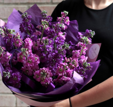 Букет из 19 фиолетовых маттиол