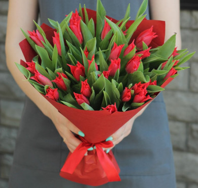 Букет из 29 красных тюльпанов в упаковке